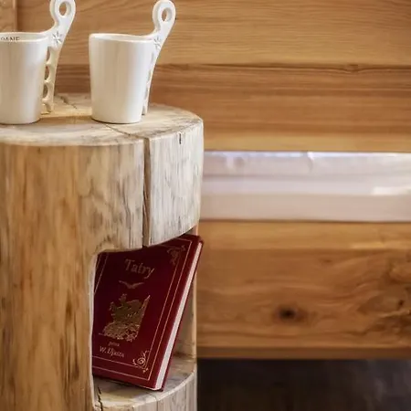 招待所 Giewontka Witów