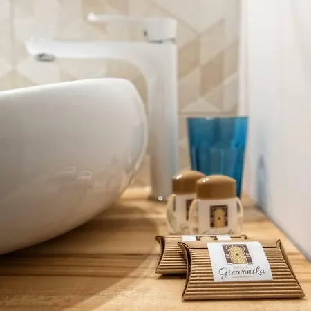 招待所 Giewontka Witów