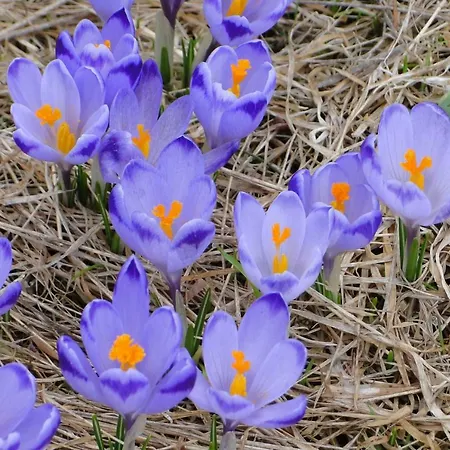 招待所 Giewontka 3*