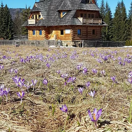 Giewontka Witów
