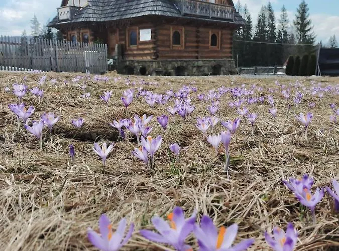 Giewontka Πανσιόν Witów
